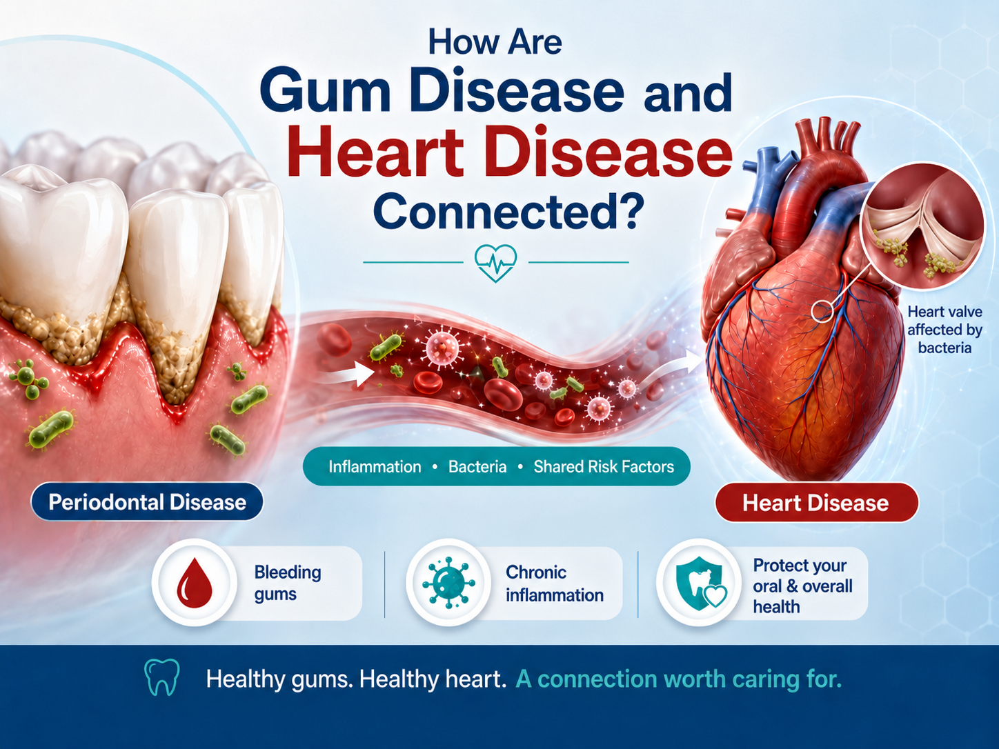 Periodontal Disease And Heart Disease: How Gum Health May Affect Your Heart